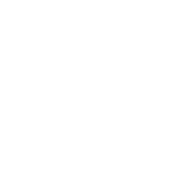 Seo For Local Business